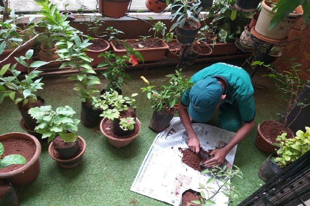 Seeding and lawn establishment